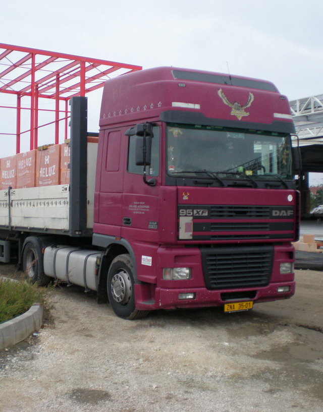 DAF.jpg